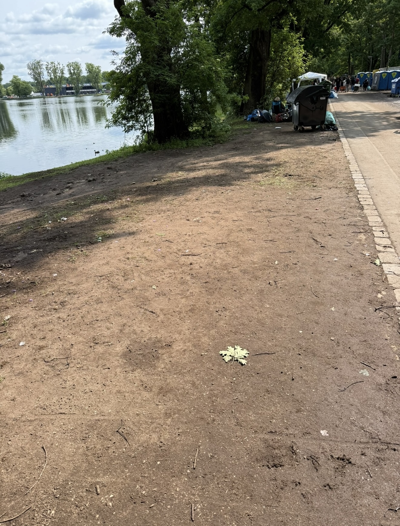 IMG_6972.jpeg